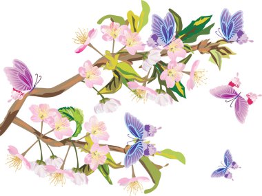 pink cherry baranch and butterflies clipart