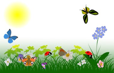çiçekler, kelebekler ve ladybugs