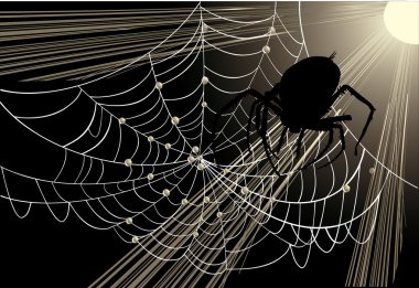 big spider in web clipart