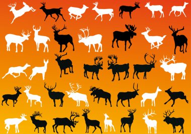 black and white deers ollection clipart