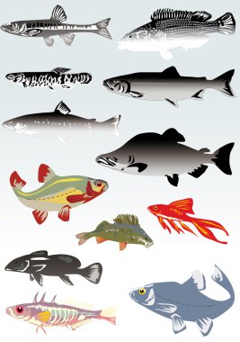 set of fishes on light background clipart