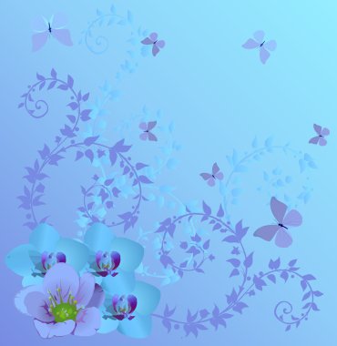 Mavi orkide ve kelebekler