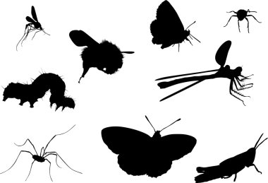 nine black insects clipart