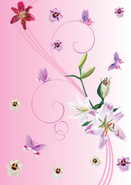 pembe lily, orkideler ve kelebekler