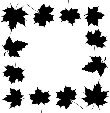 black maple foliage frame clipart