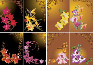 set of different orchid branches clipart