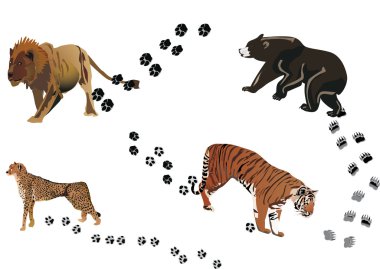 predators and its tracks clipart