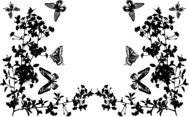 half frame with butterflies and flowers