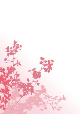 four pink sakura branches clipart