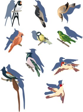 set of small birds clipart