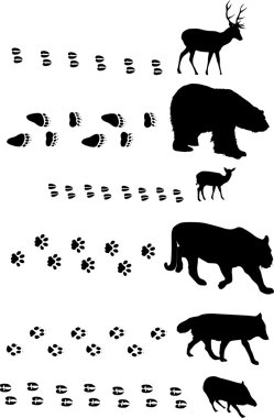 six animals with tracks on white clipart