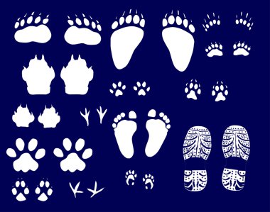 animals and human tracks collection clipart