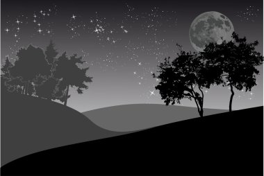 ağaçlar ve gece gökyüzünü moon ile