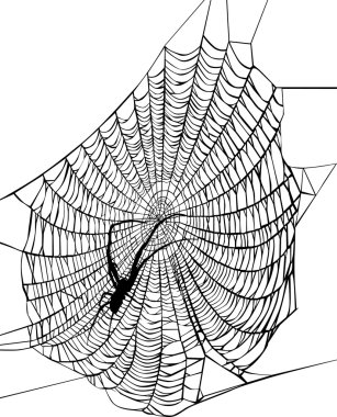 illustration with spider in web clipart