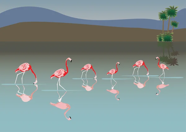湖でピンクのフラミンゴ — ストックベクタ