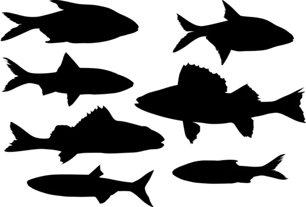 Seven black fishes on white — Stock Vector
