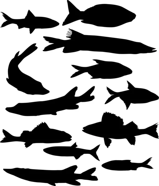 Set of twelve fish silhouettes — Stock Vector