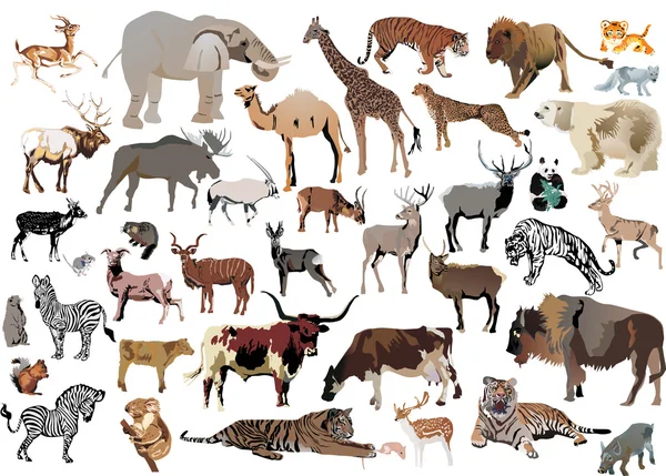 Enorm samling av färg djur — Stock vektor