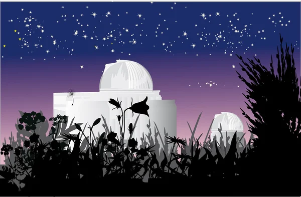 Αστρονομία Αστεροσκοπείο στην nigth — Διανυσματικό Αρχείο