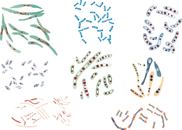 Kolekce bakterie izolované na bílém — Stockový vektor