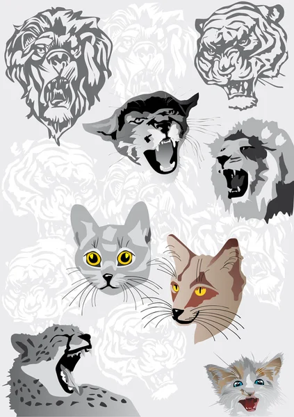 Cats portraits illustration — Stock Vector
