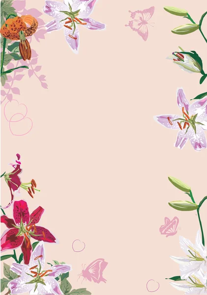 Lirio flores marco ilustración en rosa — Vector de stock