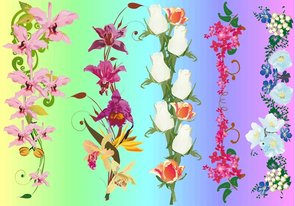花卉带集合 — 图库矢量图片