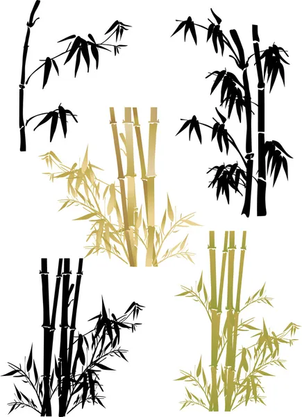 Kolekce bambus na bílém pozadí — Stockový vektor