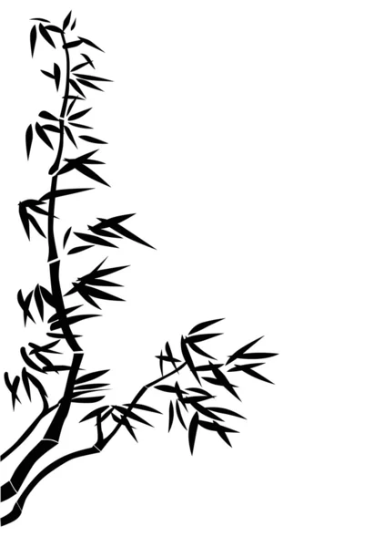 Bambou noir sur blanc — Image vectorielle