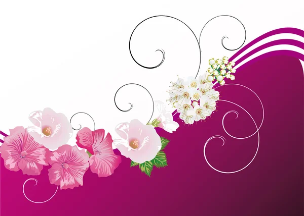 Roze en witte bloemen illustratie — Stockvector