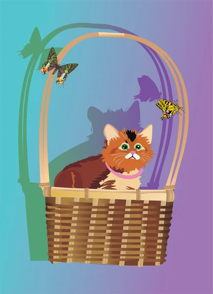 Kitten in basket illustration — Stock Vector