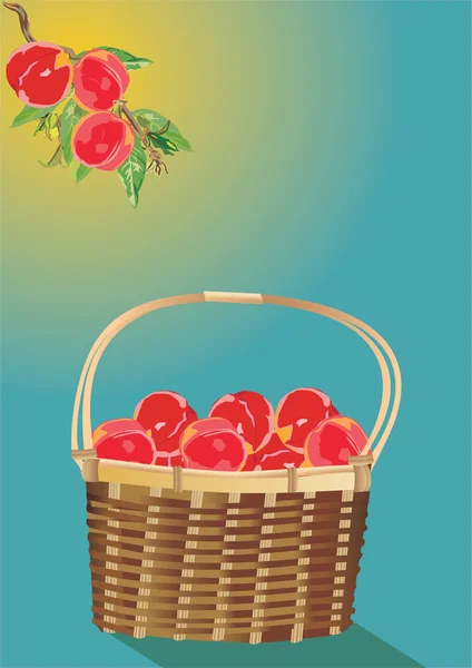 Полная корзина персика — стоковый вектор