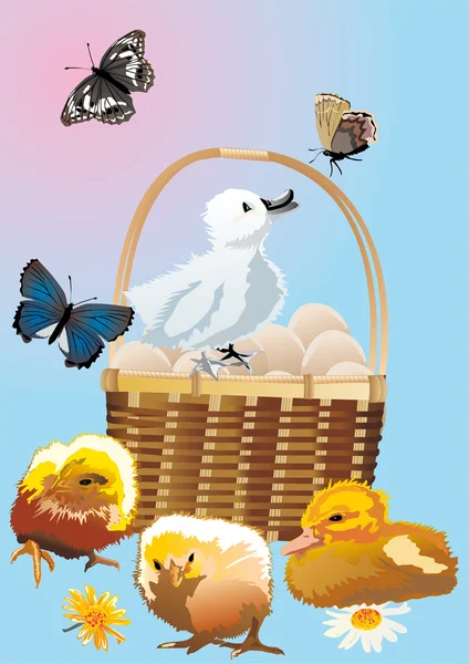 蛋、 鸡、 鸭和蝴蝶 — 图库矢量图片