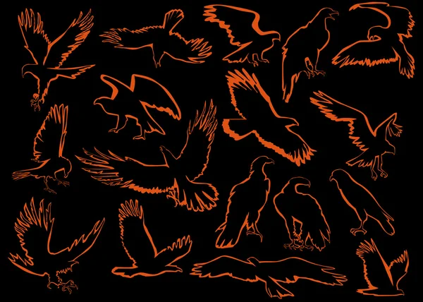 Black and orange eagle silhouettes — Stock Vector