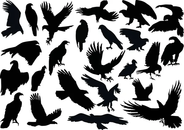 Twenty four eagle silhouettes — Stock Vector