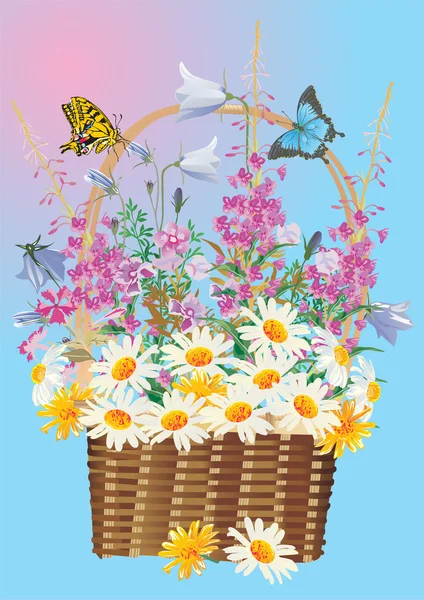 Panier complet de fleurs sauvages — Image vectorielle