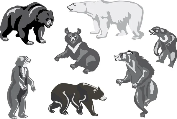 Семь медведей, изолированных на белом — стоковый вектор