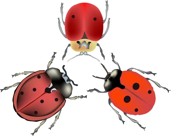 Drie rode bugs illustratie — Stockvector