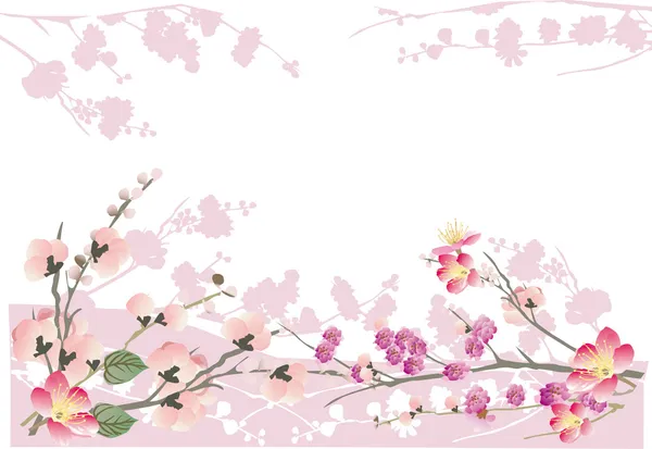 Cornice in sakura rosa su bianco — Vettoriale Stock