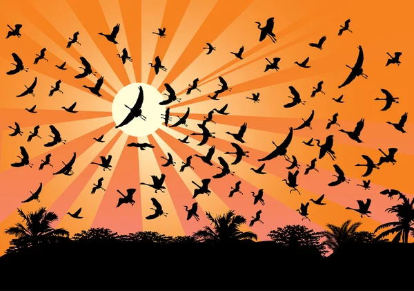 Vliegende vogels tegenover felle zon — Stockvector