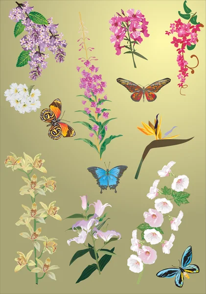 Frühlingsblumen und Schmetterlinge — Stockvektor