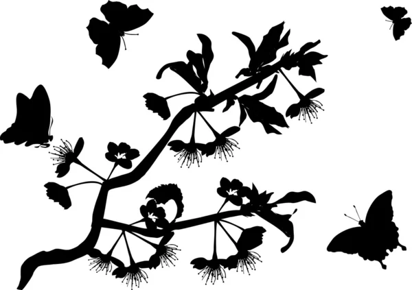 Cseresznyefa ága és négy pillangók — Stock Vector