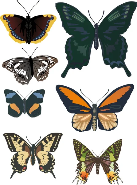 Conjunto de siete mariposas diferentes — Vector de stock