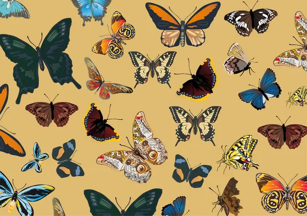 Baggrund med farve sommerfugle – Stock-vektor