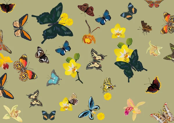 Tropische butterfly ' and ' bloem achtergrond — Stockvector