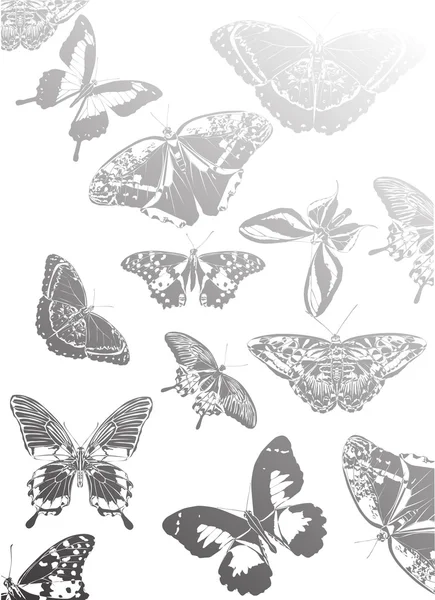 Sfondo con farfalle grigie — Vettoriale Stock