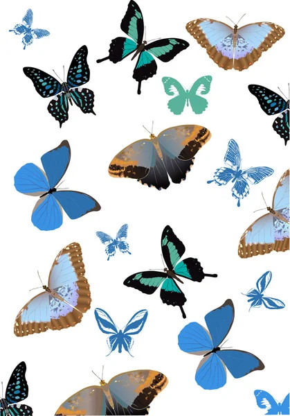 Blue butterfly background — Stock Vector