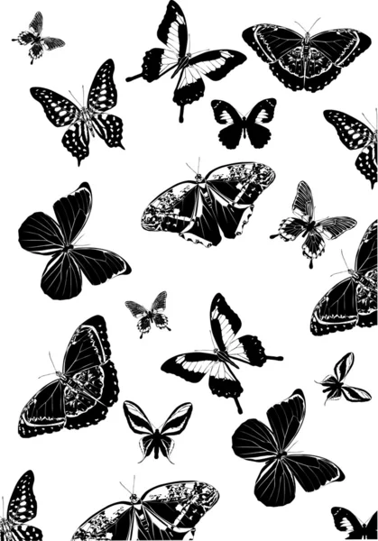 Sfondo con molte farfalle nere — Vettoriale Stock