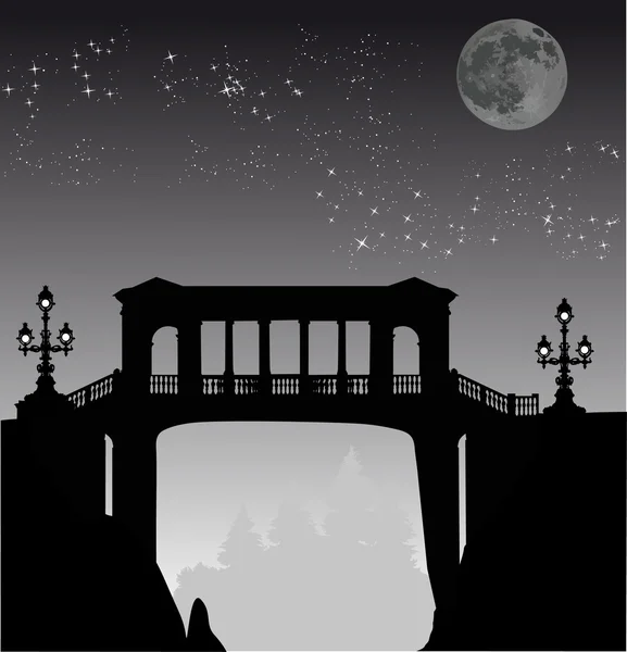 Geschmückte Nachtbrücke — Stockvektor