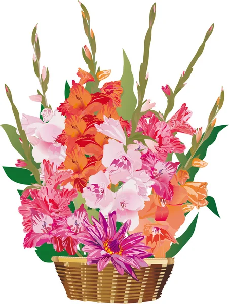 Gladiolus flowers in basket — Stock Vector